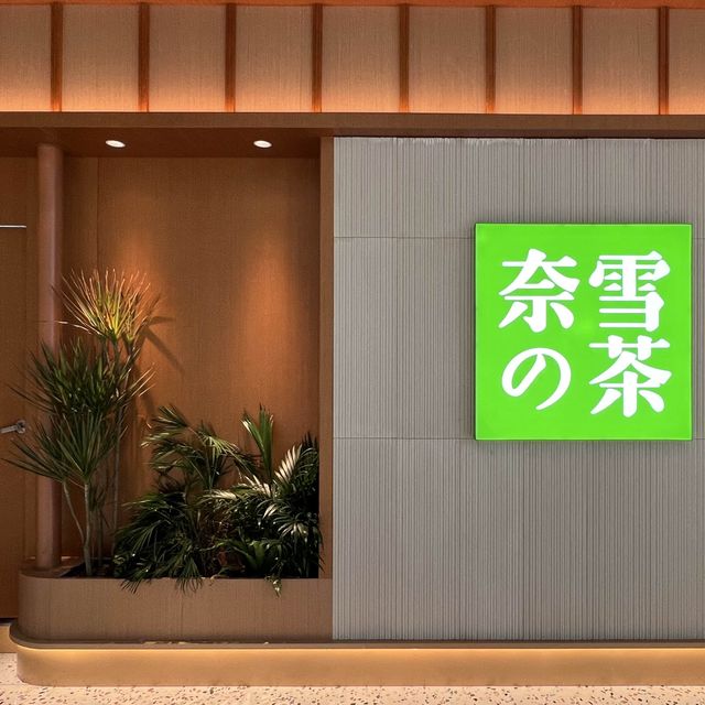 打卡奈雪的茶