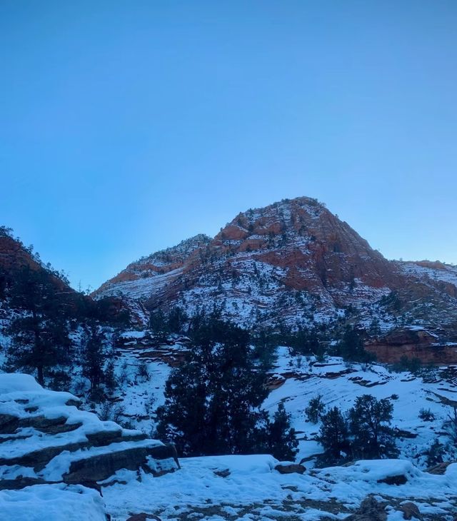 Go to Zion National Park for hiking and exploration.