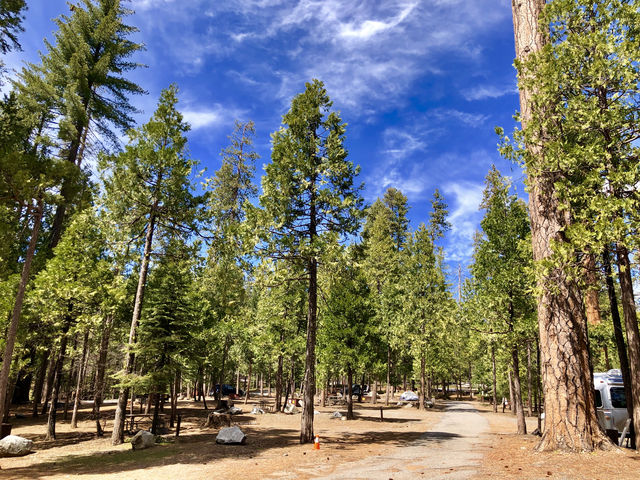 California | Yosemite National Park Scenery Sharing 1