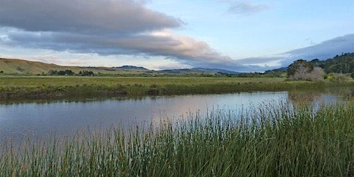 The Wetlands Staged Reading & Moonwalk | Giacomini Wetlands