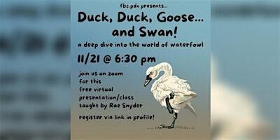Duck, Duck, Goose...and Swan! | Portland