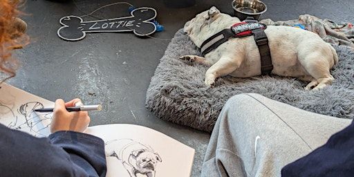 Dog Life Drawing at Boston Tea Party, Bristol | Boston Tea Party