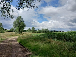 Landscape Design for BNG – the Practice and the Debate | Braxted Park