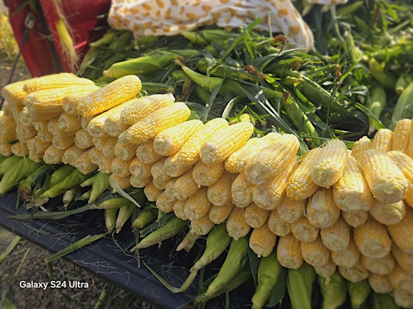 A Taste of Summer Farmers Market Craft Show and Vendor Fair Summer Kick Off | Eagles CLUB 3505