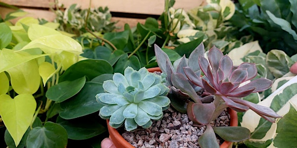 Intro to houseplants workshop with Freddie Fowler tapas | Halifax Borough Market