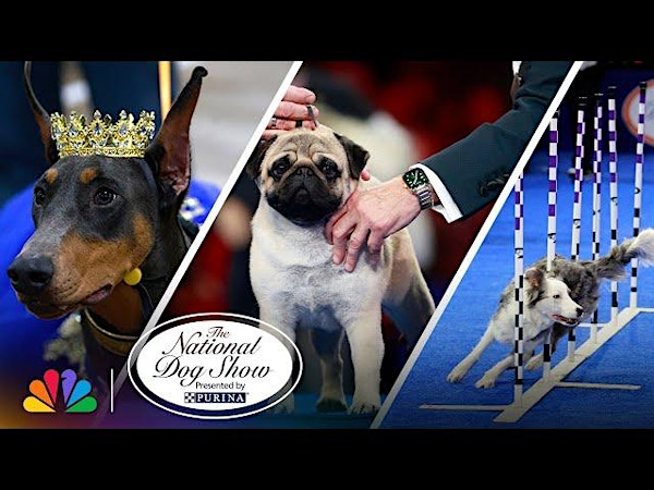 National Dog Show Bus Trip | The Greater Philadelphia Expo Center & Fairgrounds