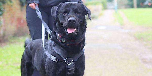 Understanding Dog Reactivity Talk | Cheltenham Animal Shelter