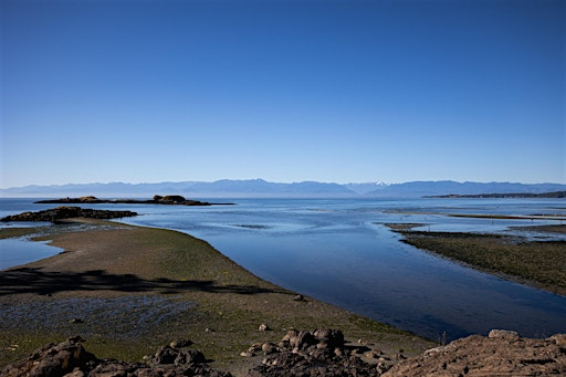 Seaside Hypnosis for Stress & Anxiety relief | Tower Point at Witty's Lagoon (meet in parking lot)