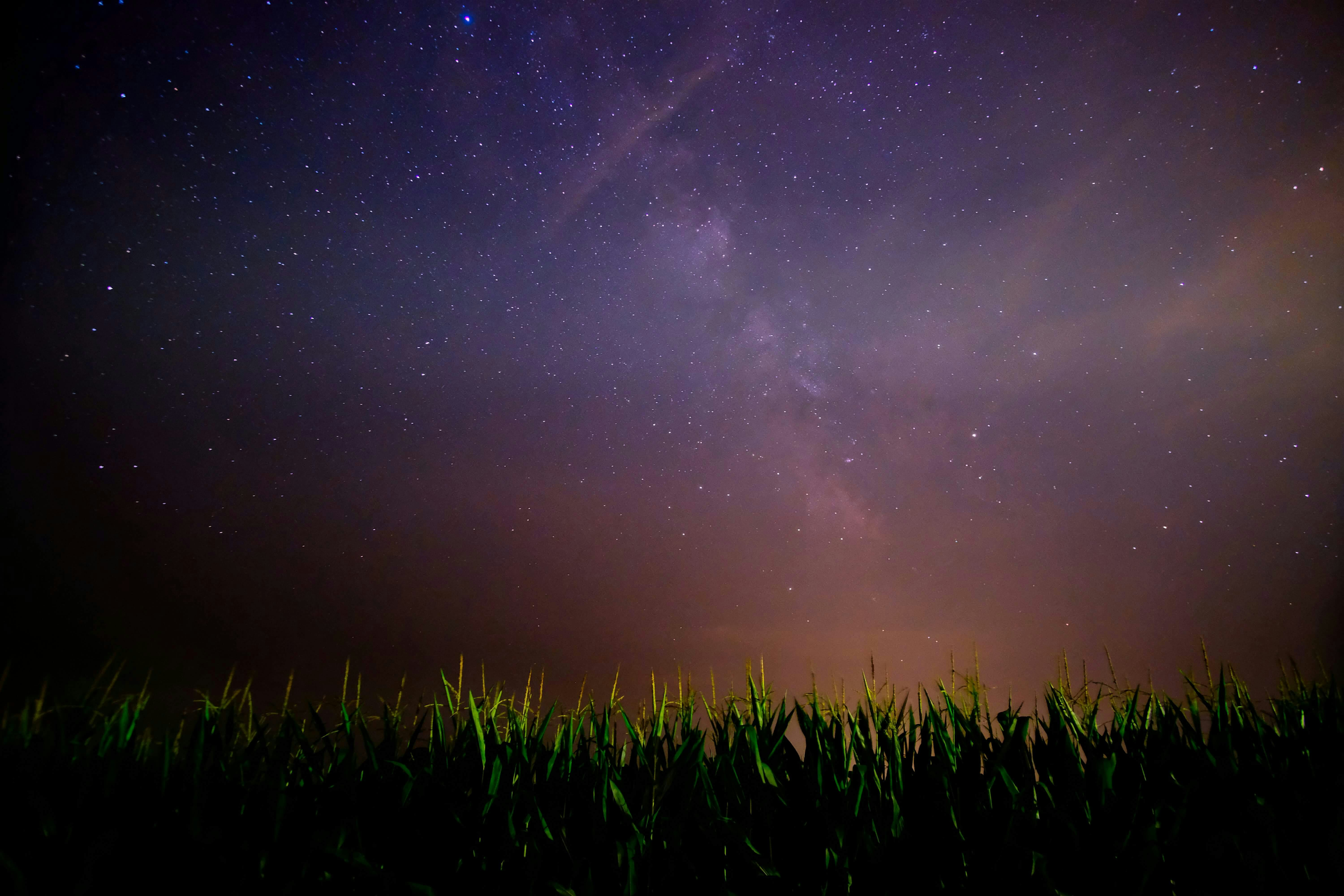 Practice Tarot in Community on the New Harvest Moon | The Space Within