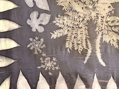 Natural Dyeing: Eco-Printing with Fall Leaves w/ Kelly Lane | Contemporary Craft - Timmons Studios
