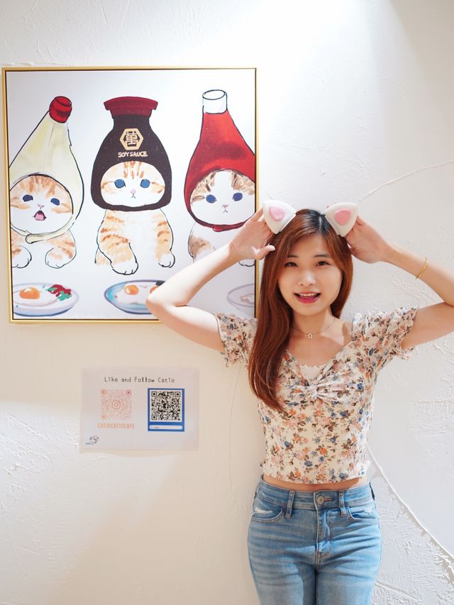 🐱🐱Catio貓cafe！Caca去搵喵喵~🐱🐱