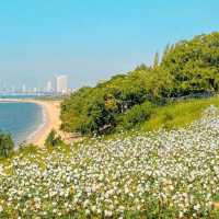 Papa Beach Pattaya🌹🌹🌹