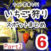 関西のいちご狩りスポットまとめ6選