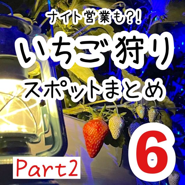 関西のいちご狩りスポットまとめ6選