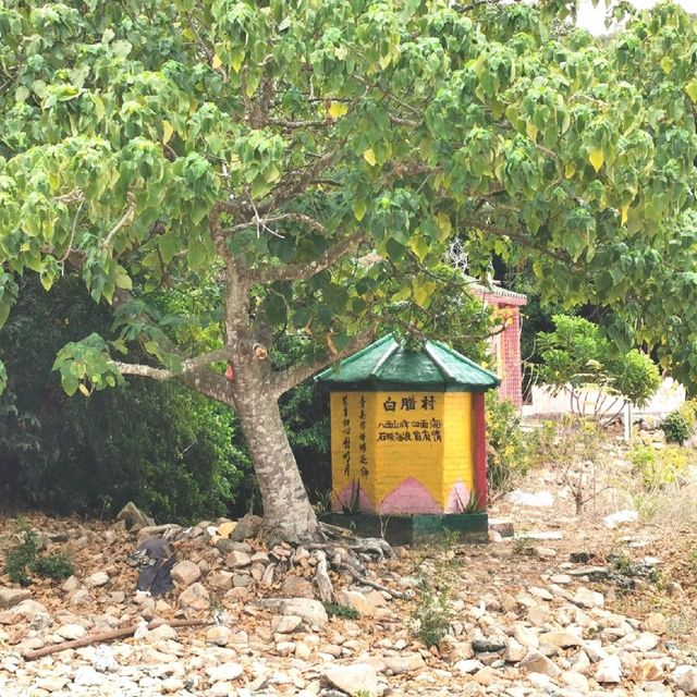 白腊村
