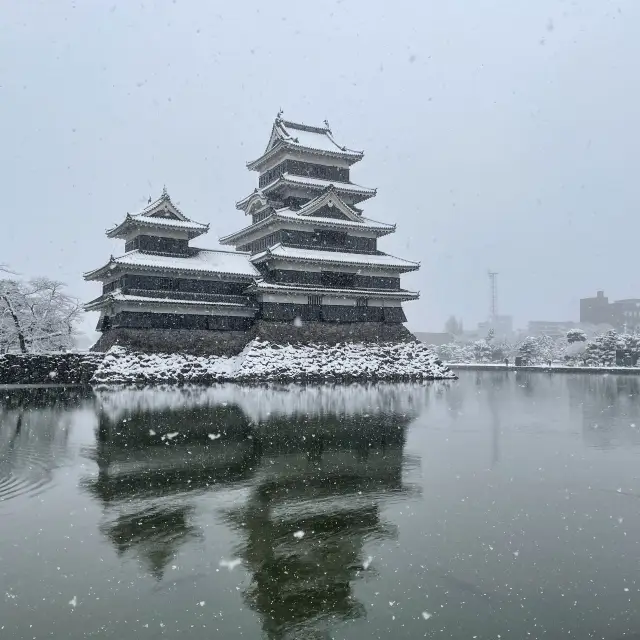 冬の松本城！ 様々な楽しみ方アリ！