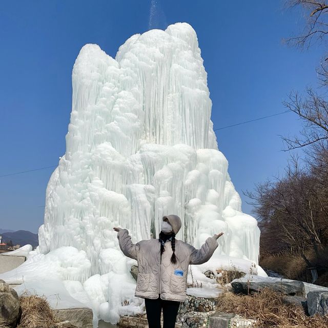 [겨울 필수 여행지 ‘남이섬’]