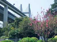 馬灣公園