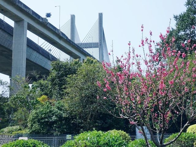 馬灣公園