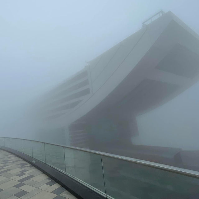 疫下山頂體驗🫣超大霧初感受