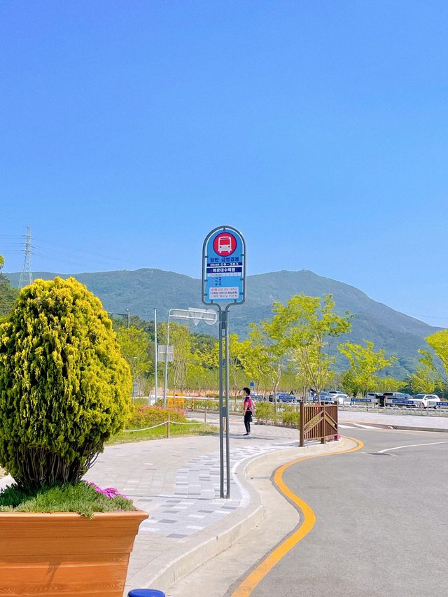 부산 봄나들이 가기 좋은 해운대 수목원 🌿
