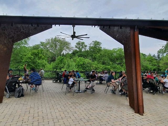 St. Louis Zoo (Starbucks)