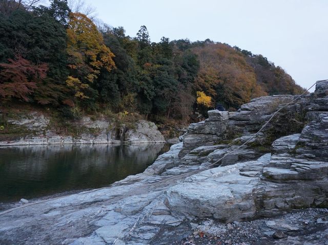 埼玉縣必去秘境➡️ 長瀞岩畳