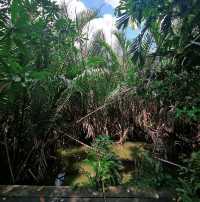 ปั่นจักรยานชมวิวที่บางกระเจ้า