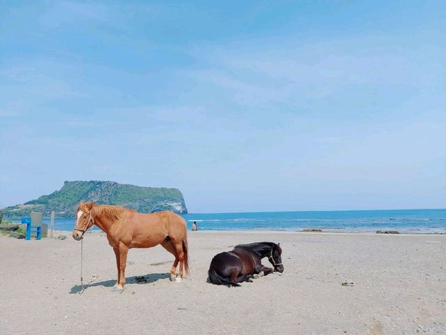 인스타 감성사진 손쉽게 찍기😁