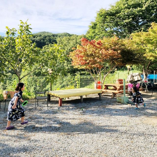 넓은 수영장이 있는 대구근교 칠곡황학산휴양림