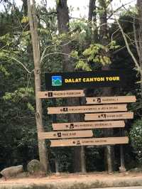 Datanla Waterfall and adventure activities 