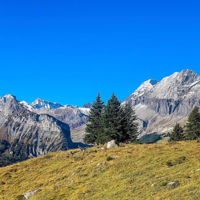 Oeschinen