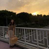 션유도 공원에서 산책하고 피크닉데이트🧡