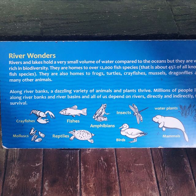 Great place to bring kids for exploration