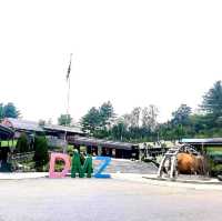 The 3rd Tunnel Walkway at DMZ