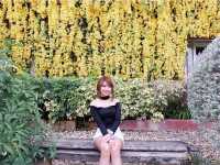 Palio khaoyai 