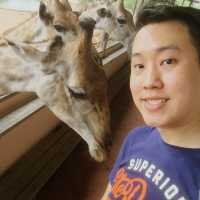Get close to Animals in Bangkok