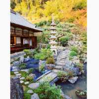 興聖寺　