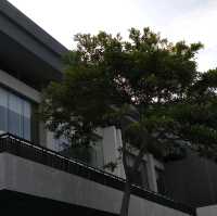 假日親子好去處中山紀念公園