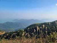 【秋冬賞芒系列~大東山🌾】