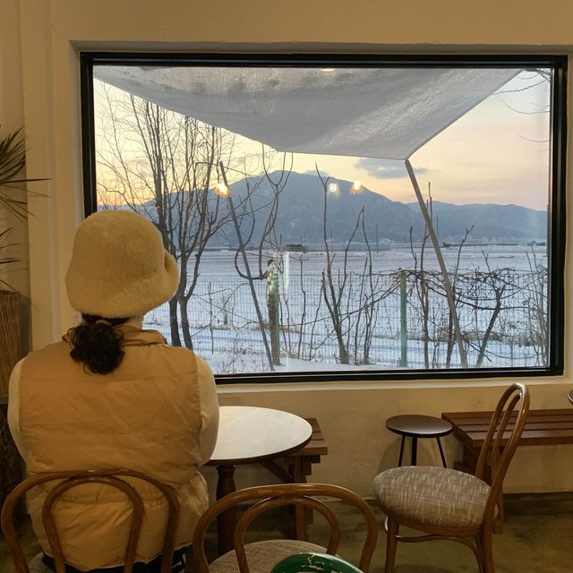 뷰맛집 철원 카페 논에