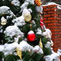 🎄 크리스마스 감성으로 가득찬 서울숲 카페거리☃️