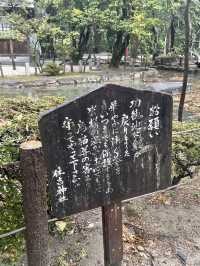 아름다운 신사 스미요시⛩