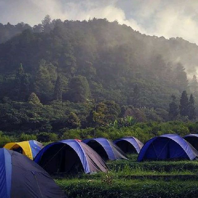 D'JUNGLE PRIVATE CAMP, BOGOR