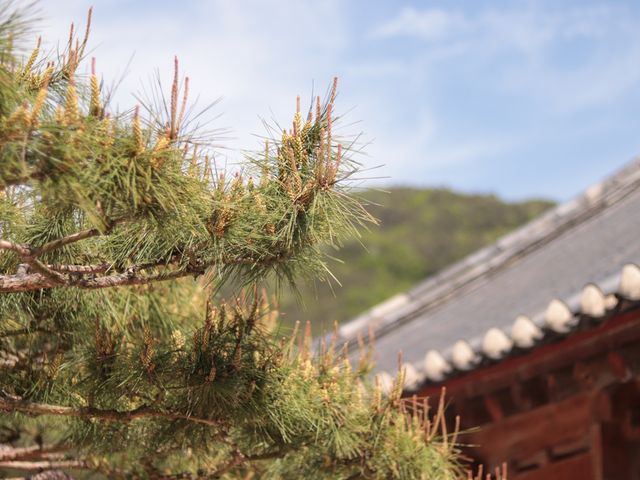 부안 내소사: 모든 이들의 바람이 잔잔하게 깔려있는 곳