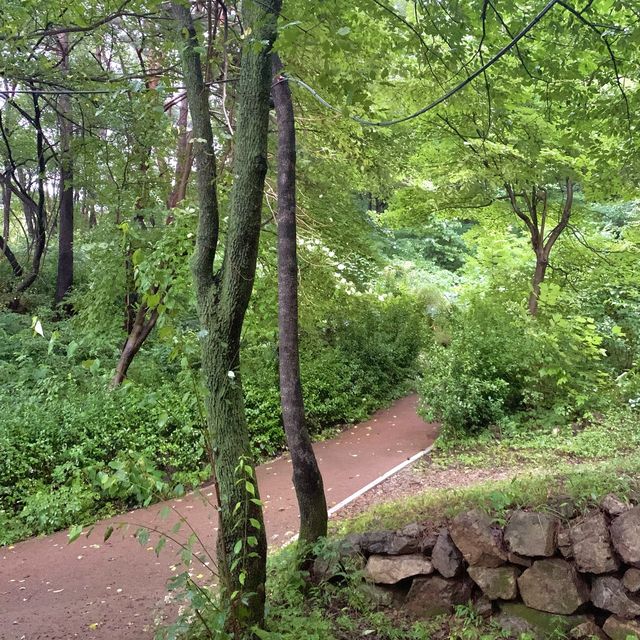 [🇰🇷, 김해] 🏕 신어산자연숲캠핑장 - 들4동 🏕