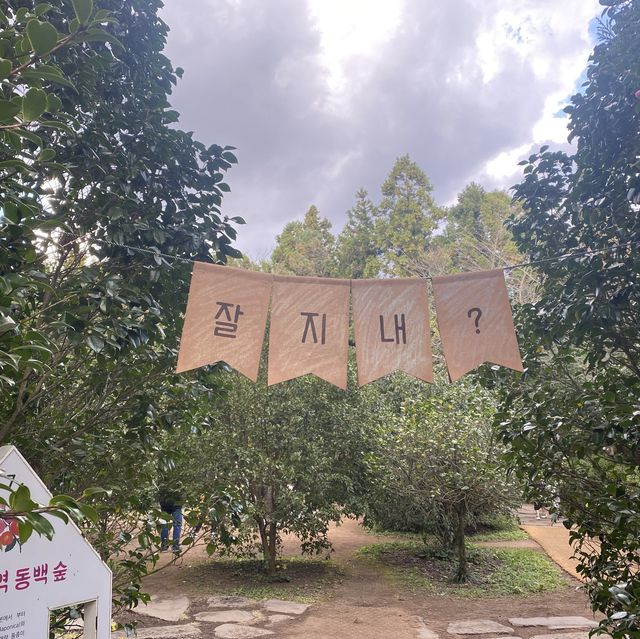 [식물&꽃들로 힐링하는 공간] 제주 카멜리아힐