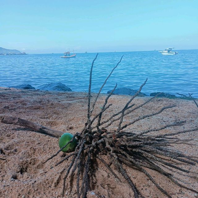 🏖หาดบางเสร่ ถ้าใจเซไปทะเลก็ได้นะ