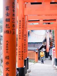 Never-ending Trails of Torii Gates! ⛩