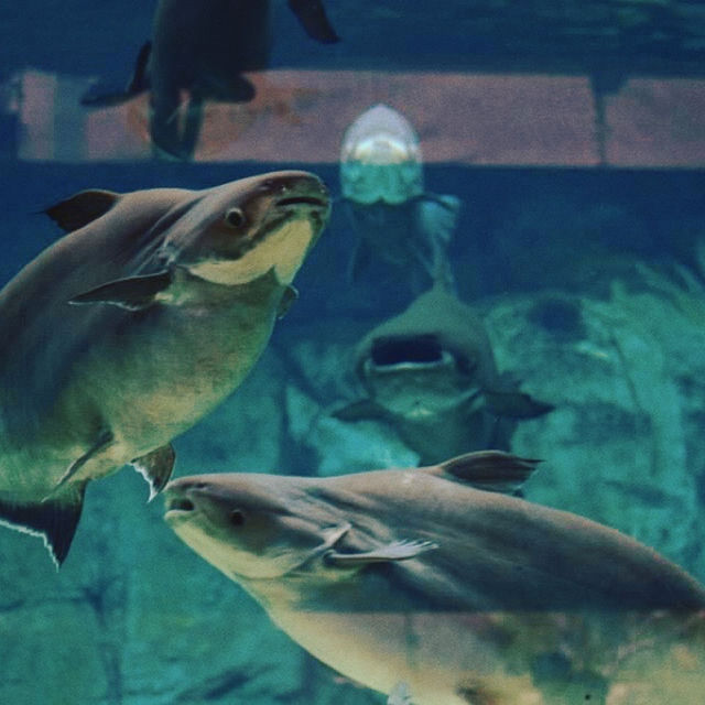 🛶 River Wonders Adventure